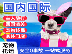 江北机场物流国际宠物托运 【国